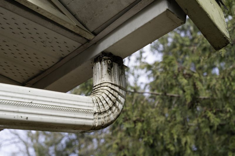 Eavestrough Clearing in Monmouth County, NJ
