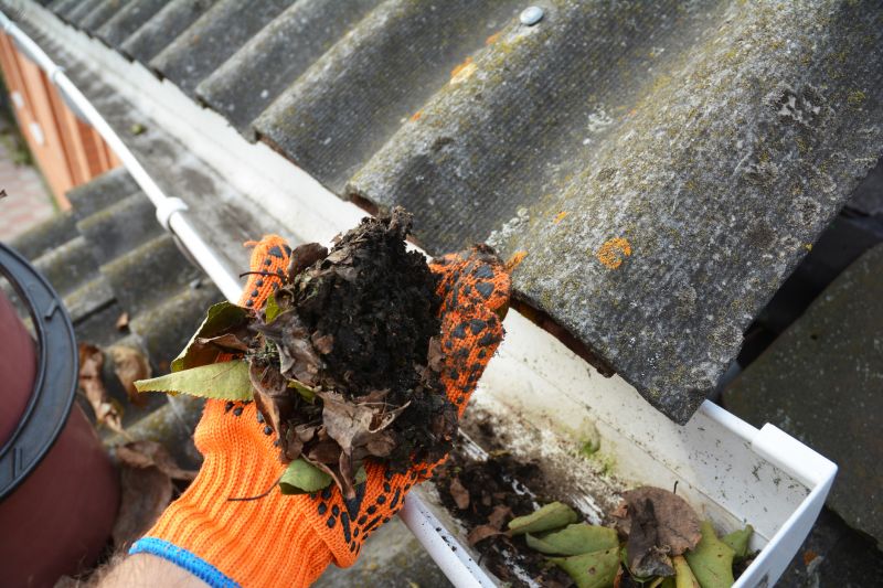 Gutter Cleaning in Baltimore, MD