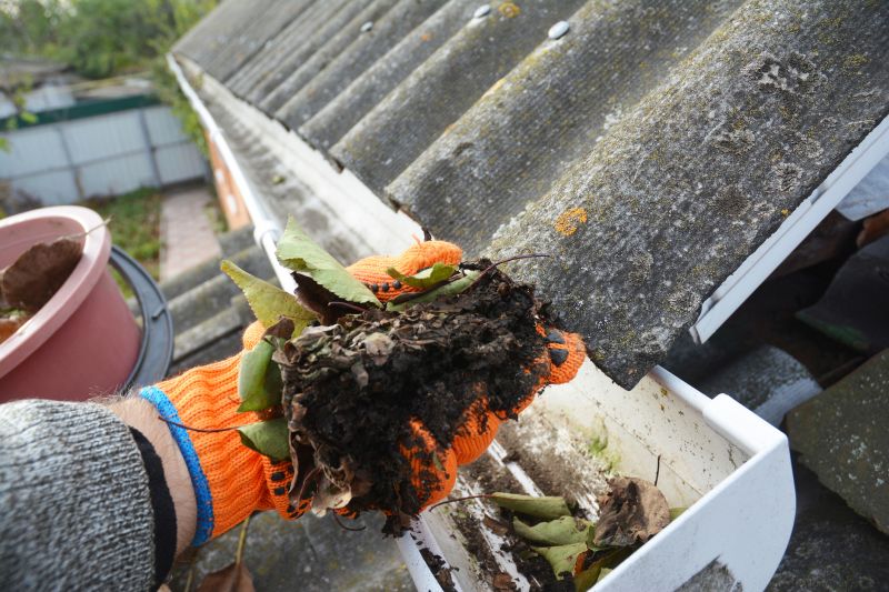 Gutter Leaf Clearing in Morris County, NJ