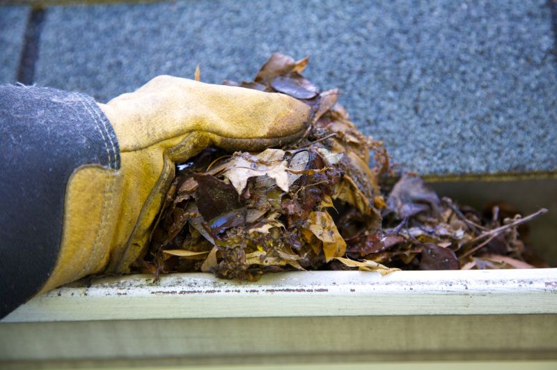 Rain Gutter Clearing in Richmond, VA