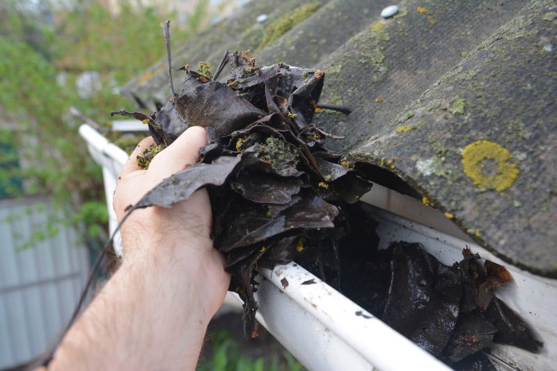 Gutter Leaf Clearing in Arvada, CO